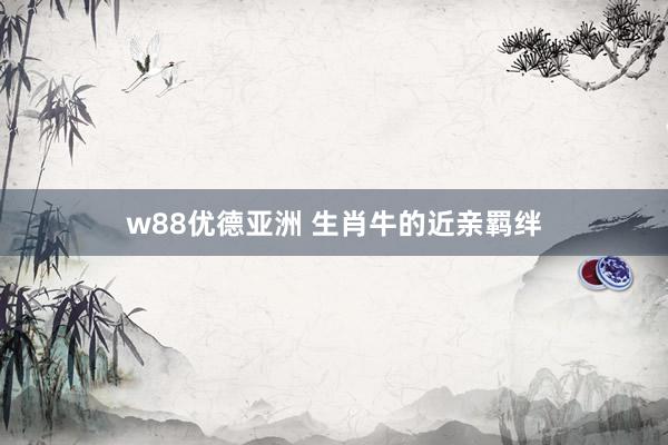 w88优德亚洲 生肖牛的近亲羁绊